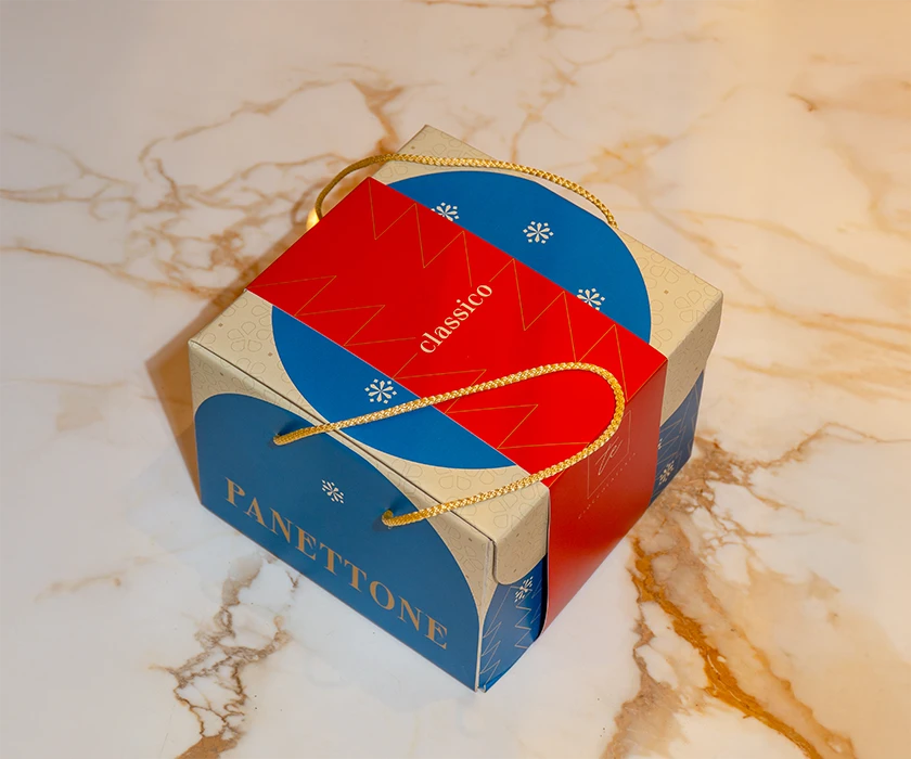 TECIOCCOLATERIA-panettone-classico-700x840-1